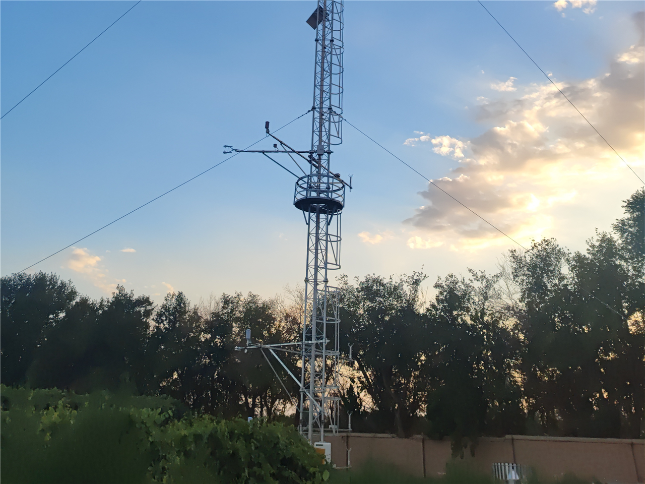 案例分享 | 华益瑞助力新疆现代农业气象防灾减灾监测能力提升