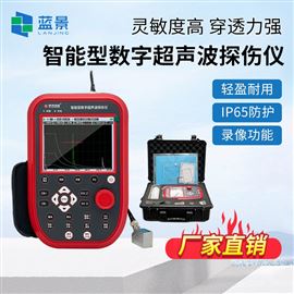 LJ-96C便携式工业无损探伤仪