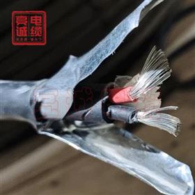 GF-WDZCEER23-125-DC1800V-2x4光伏铠装电缆