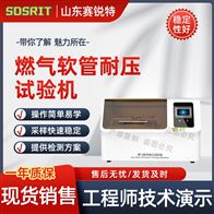 賽銳特 SRT-L027燃氣軟管耐壓試驗機 技術(shù)指導(dǎo)