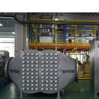 AOP-5-DN50臭氧AOP高級(jí)催化氧化設(shè)備