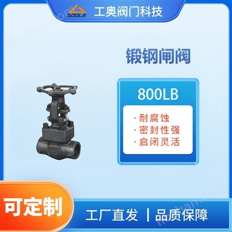 鍛鋼閘閥 800Lb