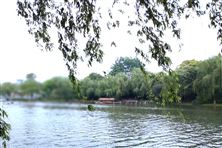 安徽：關(guān)于公開征集農(nóng)村黑臭水體和農(nóng)村生活污水處理設(shè)施突出問題的公告