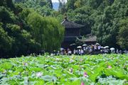 四方面13項重點任務！《“美麗江蘇”生態環境志愿服務行動方案（2025—2027年）》發布