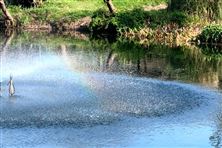 池州市石臺縣生態(tài)環(huán)境分局扎實開展農村中小微水體監(jiān)測調查工作