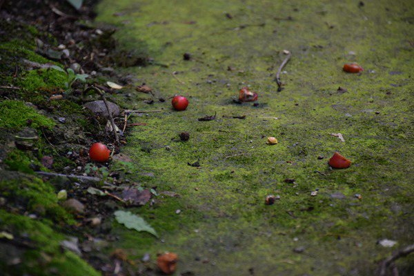 環保新質生產力|基于多變量解耦和智能運維的原位氣相抽提技術