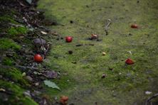 環(huán)保新質(zhì)生產(chǎn)力|基于多變量解耦和智能運(yùn)維的原位氣相抽提技術(shù)