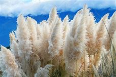 專注創新，鑄就“小巨人”——萊特萊德榮獲國家級專精特新“小巨人”！