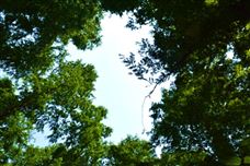 新修改的環境保護稅法擴大揮發性有機物征稅范圍