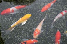 15.77億！央國企聯合中標EOD項目