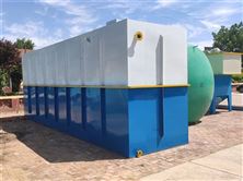 300立方/天地埋式污水處理設(shè)備