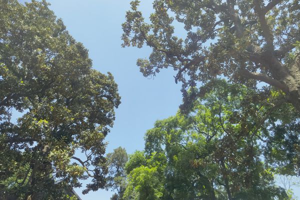 甘肅派仕得公司有組織超低排放和無組織深度治理項目招標