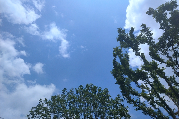 3660萬(wàn)！貴州黔玻永太新材料有限公司一線超低排放改造項(xiàng)目設(shè)備采購(gòu)招標(biāo)