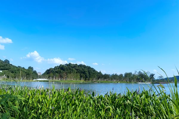 國有資產(chǎn)拍賣！3億出讓30年污水處理特許經(jīng)營權(quán)