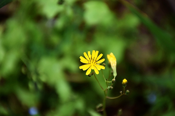 污水運維管理人的又一年！