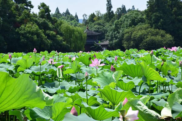 再生水利用重點(diǎn)城市經(jīng)驗(yàn)案例——濱州市積極打造黃河下游缺水城市再生水綜合利用示范區(qū)