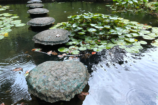 合作再攜手：威立雅為SK specialty江蘇基地提供水務(wù)全流程運(yùn)維服務(wù)