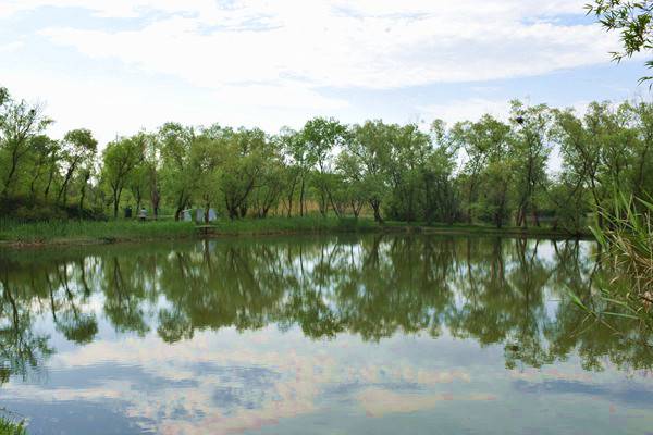 核準！廣東新豐抽水蓄能電站項目