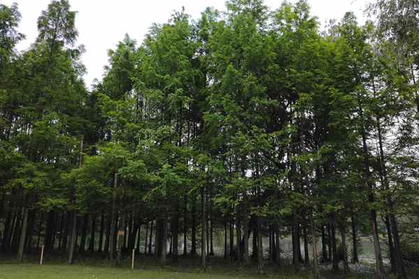 我国发布全球首个全景式碳排放核算系统