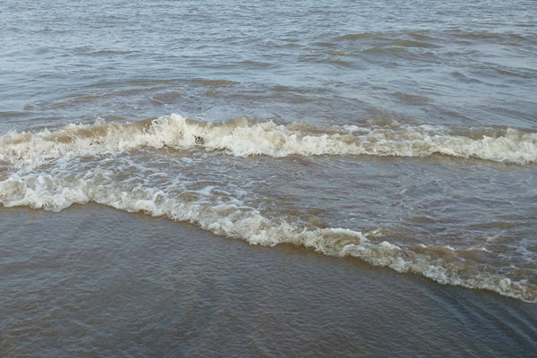 2.6亿！山东青岛即墨区东部水厂建设工程设计施工总承包招标