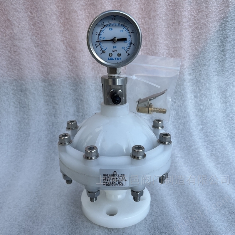 LGMZ-V0.35L膜片式脉冲阻尼器PVDF LGMZ-V0.35L膜片式脉冲阻尼器PVDF