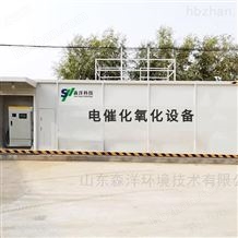 電催化氧化廢水處理電化學(xué)設(shè)備廠家 電解