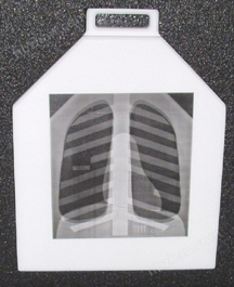 Duke 07-646胸部数字模体