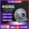 TB中壓鼓風(fēng)機(jī)車間工業(yè)除塵吹吸兩用